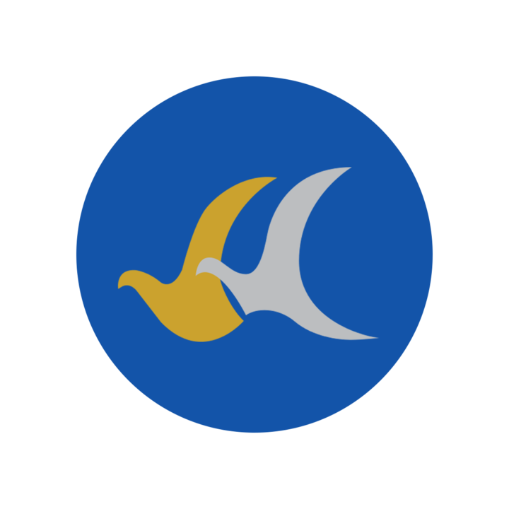 Buddha Air